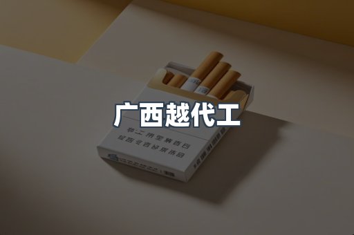 广西越代工